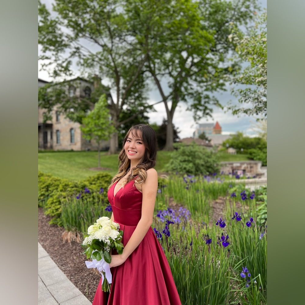 Ball gown/ V neck Satin Prom Dress